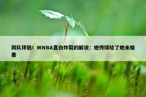 同队伴侣！WNBA直白炸裂的解说：她传球给了她未婚妻