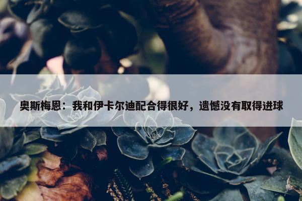 奥斯梅恩：我和伊卡尔迪配合得很好，遗憾没有取得进球