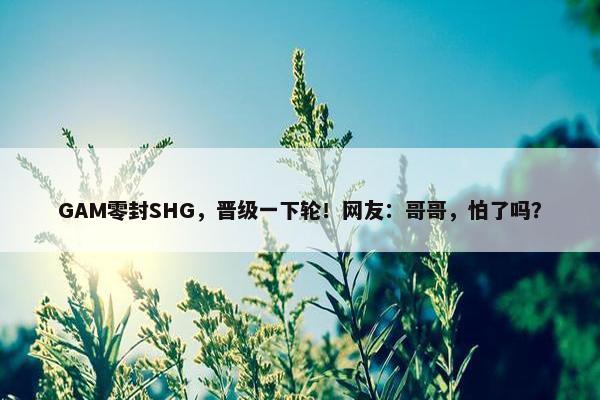 GAM零封SHG，晋级一下轮！网友：哥哥，怕了吗？