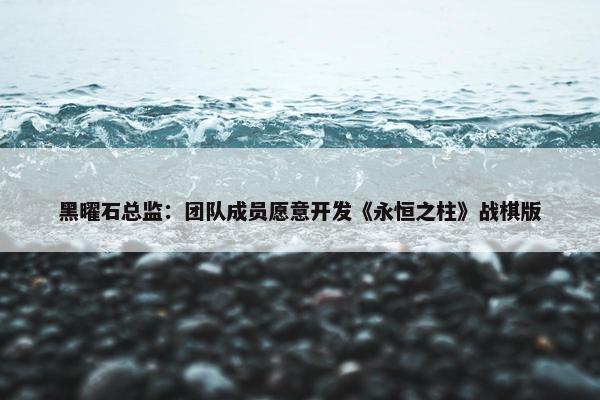 黑曜石总监：团队成员愿意开发《永恒之柱》战棋版