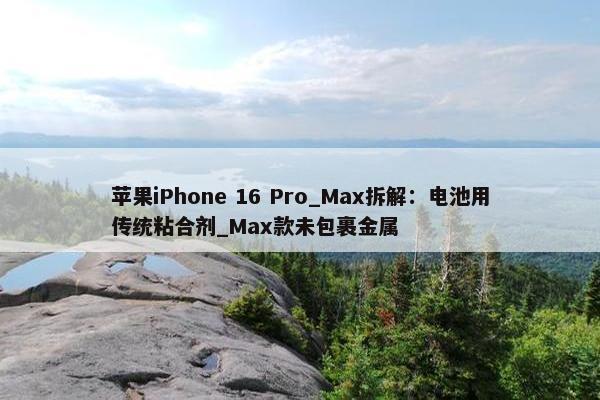 苹果iPhone 16 Pro_Max拆解：电池用传统粘合剂_Max款未包裹金属