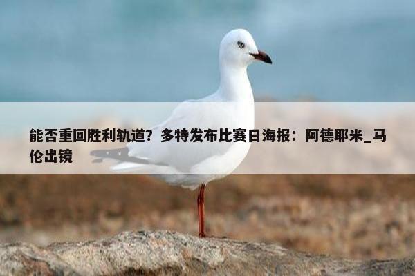 能否重回胜利轨道？多特发布比赛日海报：阿德耶米_马伦出镜