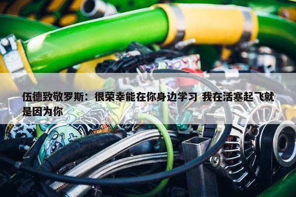 伍德致敬罗斯：很荣幸能在你身边学习 我在活塞起飞就是因为你