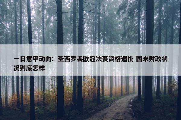 一日意甲动向：圣西罗丢欧冠决赛资格遭批 国米财政状况到底怎样