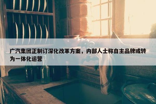 广汽集团正制订深化改革方案，内部人士称自主品牌或转为一体化运营