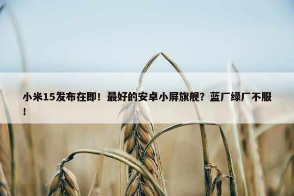 小米15发布在即！最好的安卓小屏旗舰？蓝厂绿厂不服！