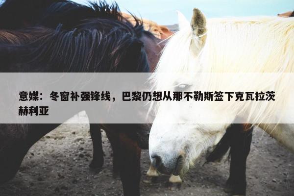 意媒：冬窗补强锋线，巴黎仍想从那不勒斯签下克瓦拉茨赫利亚