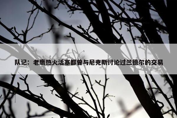 队记：老鹰热火活塞都曾与尼克斯讨论过兰德尔的交易