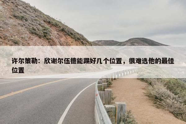 许尔策勒：欣谢尔伍德能踢好几个位置，很难选他的最佳位置