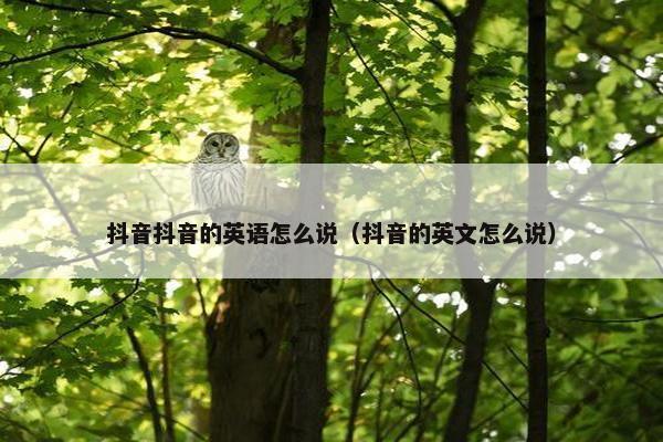 抖音抖音的英语怎么说（抖音的英文怎么说）