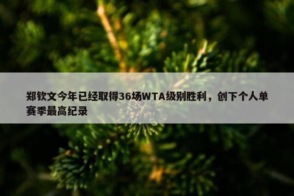 郑钦文今年已经取得36场WTA级别胜利，创下个人单赛季最高纪录