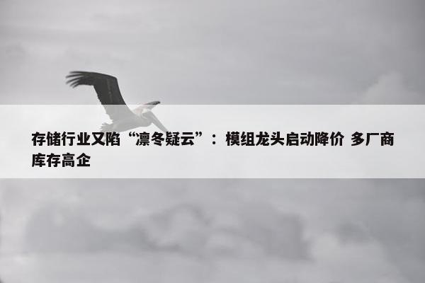 存储行业又陷“凛冬疑云”：模组龙头启动降价 多厂商库存高企