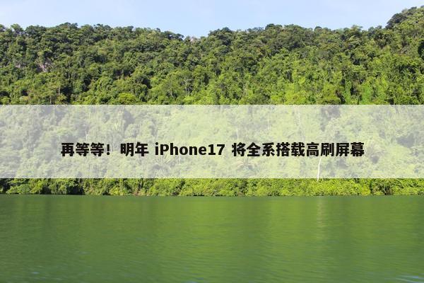 再等等！明年 iPhone17 将全系搭载高刷屏幕