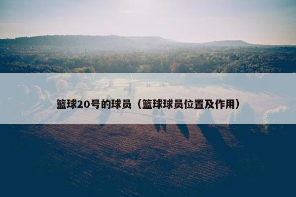 篮球20号的球员（篮球球员位置及作用）