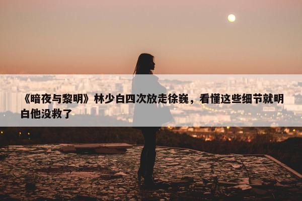 《暗夜与黎明》林少白四次放走徐巍，看懂这些细节就明白他没救了