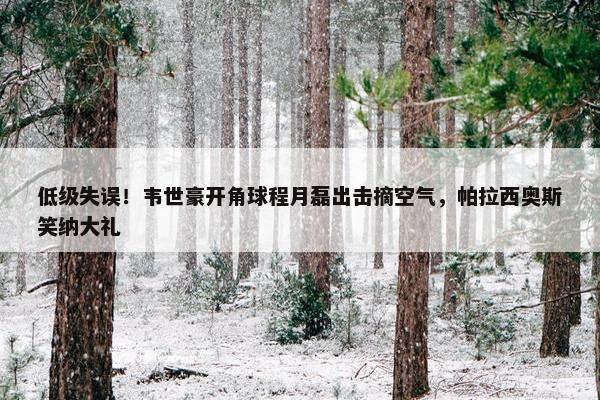 低级失误！韦世豪开角球程月磊出击摘空气，帕拉西奥斯笑纳大礼