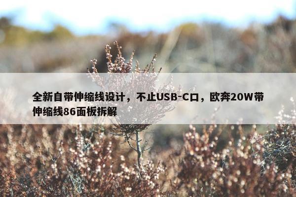 全新自带伸缩线设计，不止USB-C口，欧奔20W带伸缩线86面板拆解