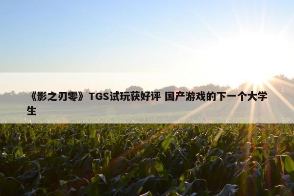 《影之刃零》TGS试玩获好评 国产游戏的下一个大学生