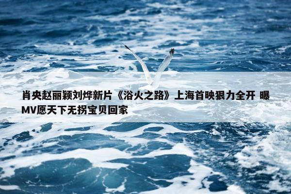 肖央赵丽颖刘烨新片《浴火之路》上海首映狠力全开 曝MV愿天下无拐宝贝回家