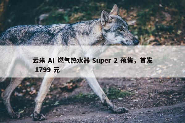 云米 AI 燃气热水器 Super 2 预售，首发 1799 元