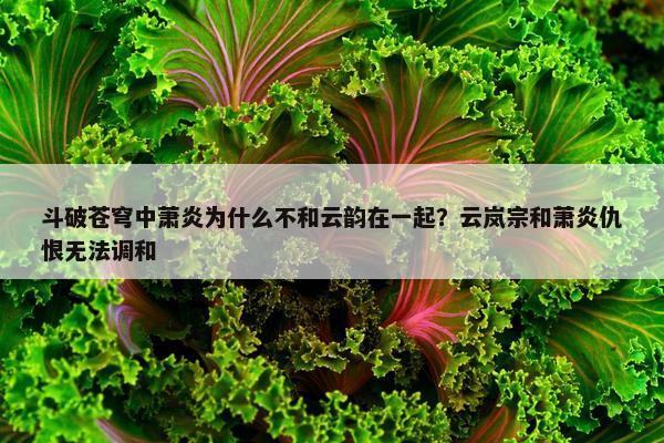 斗破苍穹中萧炎为什么不和云韵在一起？云岚宗和萧炎仇恨无法调和