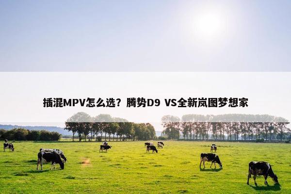 插混MPV怎么选？腾势D9 VS全新岚图梦想家