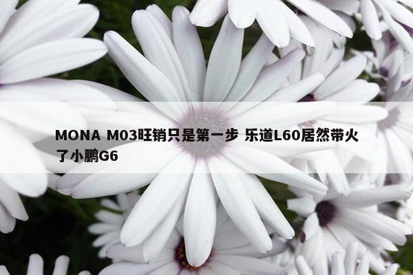 MONA M03旺销只是第一步 乐道L60居然带火了小鹏G6