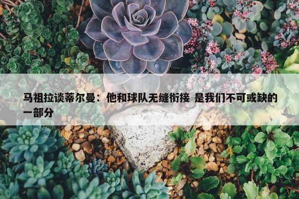 马祖拉谈蒂尔曼：他和球队无缝衔接 是我们不可或缺的一部分