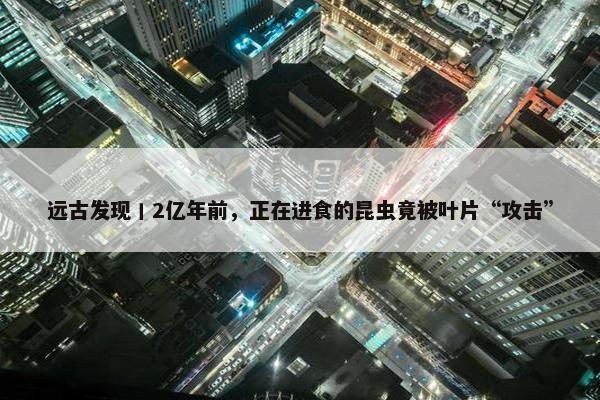 远古发现丨2亿年前，正在进食的昆虫竟被叶片“攻击”