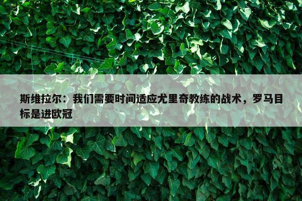 斯维拉尔：我们需要时间适应尤里奇教练的战术，罗马目标是进欧冠