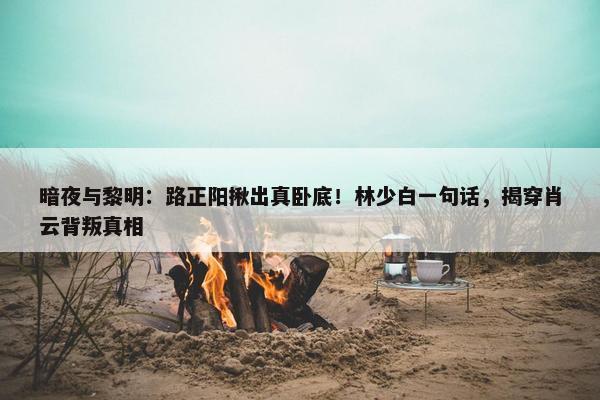 暗夜与黎明：路正阳揪出真卧底！林少白一句话，揭穿肖云背叛真相