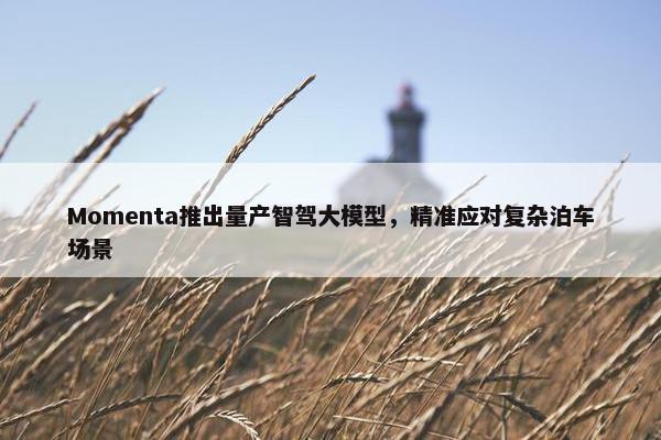 Momenta推出量产智驾大模型，精准应对复杂泊车场景