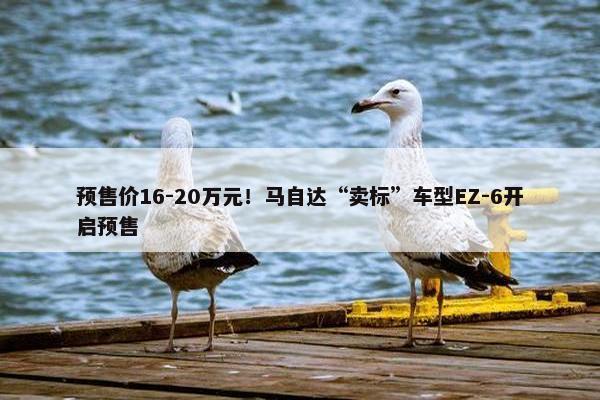 预售价16-20万元！马自达“卖标”车型EZ-6开启预售