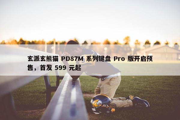 玄派玄熊猫 PD87M 系列键盘 Pro 版开启预售，首发 599 元起