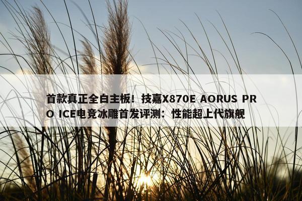 首款真正全白主板！技嘉X870E AORUS PRO ICE电竞冰雕首发评测：性能超上代旗舰