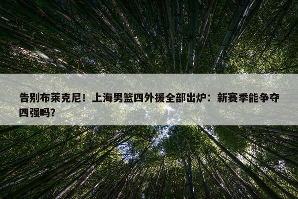 告别布莱克尼！上海男篮四外援全部出炉：新赛季能争夺四强吗？