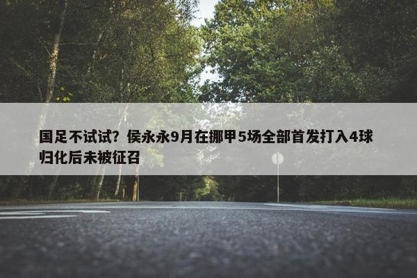 国足不试试？侯永永9月在挪甲5场全部首发打入4球 归化后未被征召