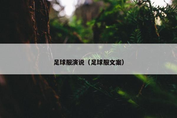 足球服演说（足球服文案）