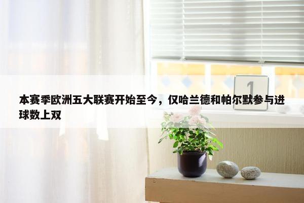 本赛季欧洲五大联赛开始至今，仅哈兰德和帕尔默参与进球数上双