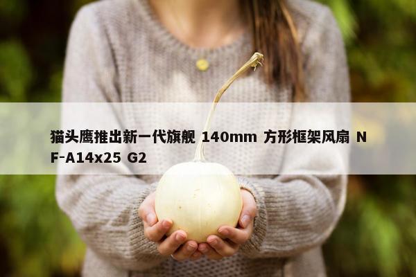 猫头鹰推出新一代旗舰 140mm 方形框架风扇 NF-A14x25 G2