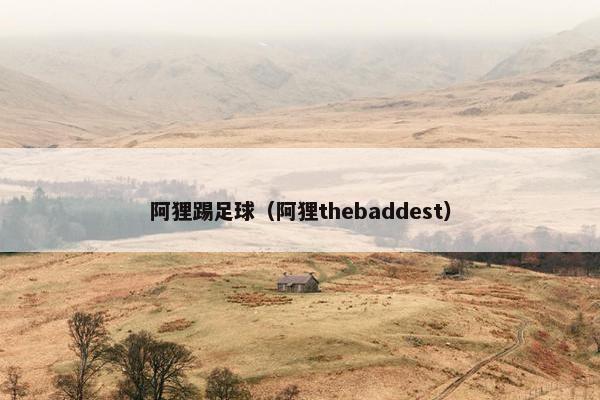 阿狸踢足球（阿狸thebaddest）