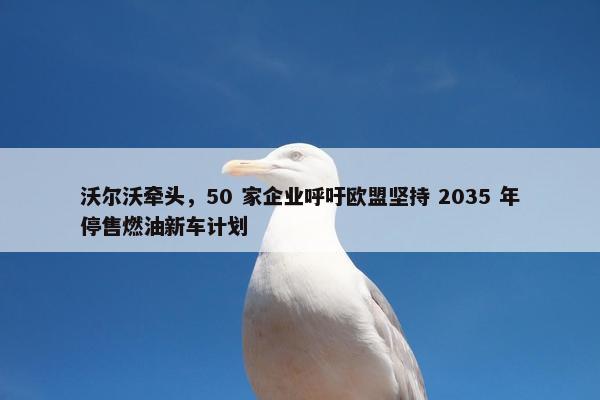 沃尔沃牵头，50 家企业呼吁欧盟坚持 2035 年停售燃油新车计划