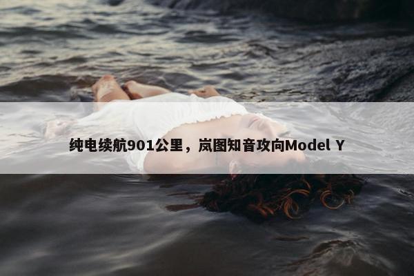 纯电续航901公里，岚图知音攻向Model Y