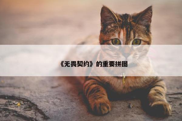 《无畏契约》的重要拼图