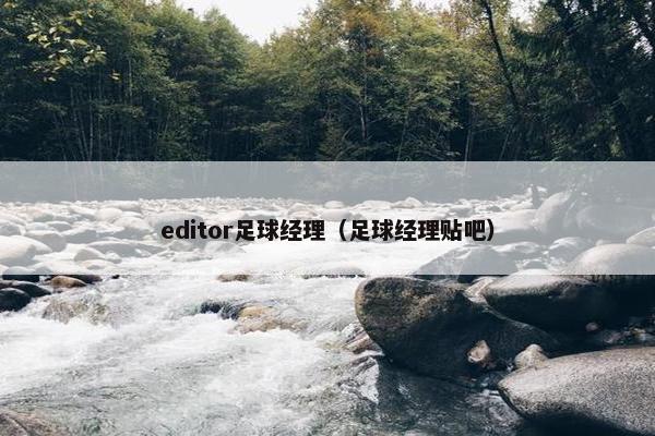 editor足球经理（足球经理贴吧）