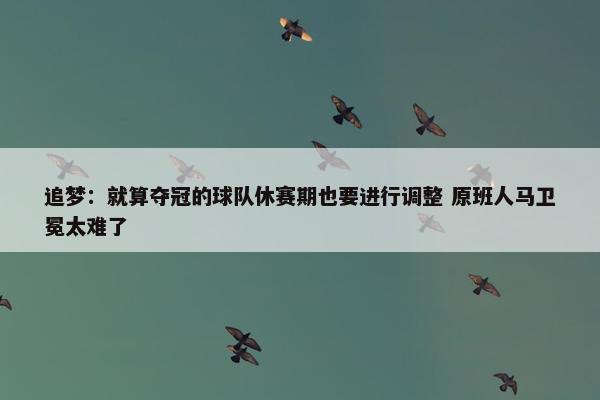 追梦：就算夺冠的球队休赛期也要进行调整 原班人马卫冕太难了