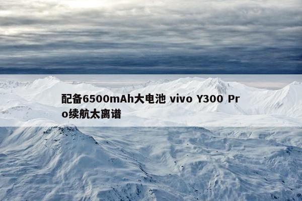 配备6500mAh大电池 vivo Y300 Pro续航太离谱