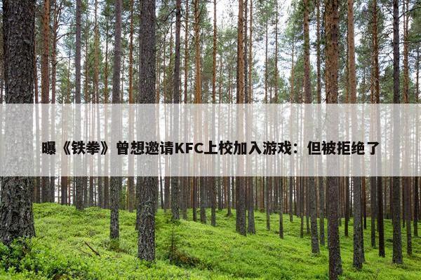 曝《铁拳》曾想邀请KFC上校加入游戏：但被拒绝了