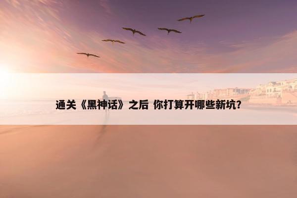 通关《黑神话》之后 你打算开哪些新坑？