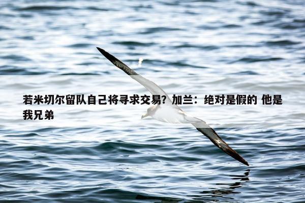 若米切尔留队自己将寻求交易？加兰：绝对是假的 他是我兄弟